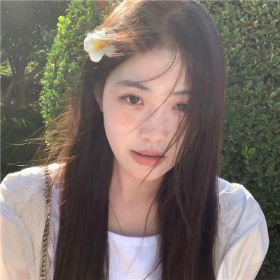 风流世家